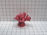 Mini Cauliflower Coral Decoration #205
