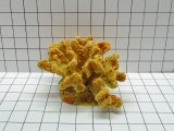 Medium Cauliflower Coral Decoration #211
