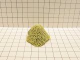Small Pinapple Favites Coral Decoration #551