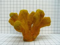 XL Cat's Paw Coral Decoration #720