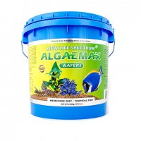 New Life Spectrum Naturox AlgaeMax Food - Sinking Wafers (12mm-12.5mm) - 2200g