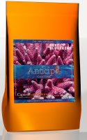 Reef Blueprint Anticip8 Makes 5 gals. - Coral Tonic