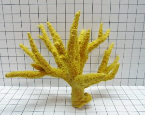 Large Multi-Branch Stag Acro Coral Decoration #176