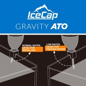 IceCap Gravity ATO