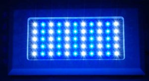 Blueline 120w VHO LED Fixture - Dimmable