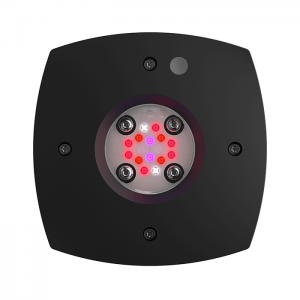 AquaIllumination Prime Fuge LED Module - Black
