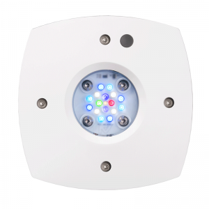 AquaIllumination Prime 16HD Reef LED Module - White