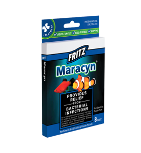 Fritz Maracyn 8 count